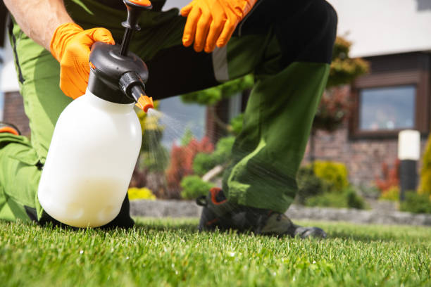 Pest Control for Restaurants in Columbus, GA