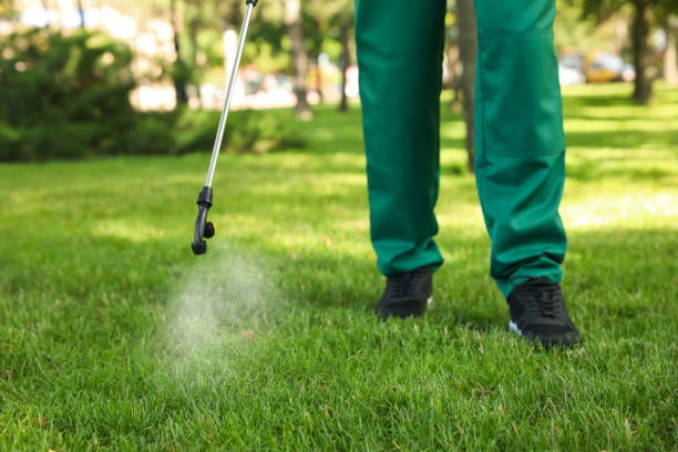 Best Ant Control Services  in Columbus, GA