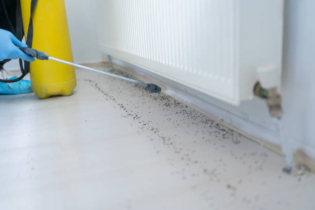 Best Pest Control for Restaurants  in Columbus, GA