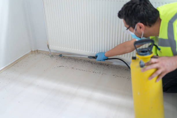 Best Affordable Pest Control Services  in Columbus, GA