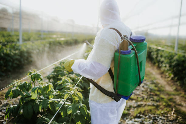 Best Exterminator Services  in Columbus, GA